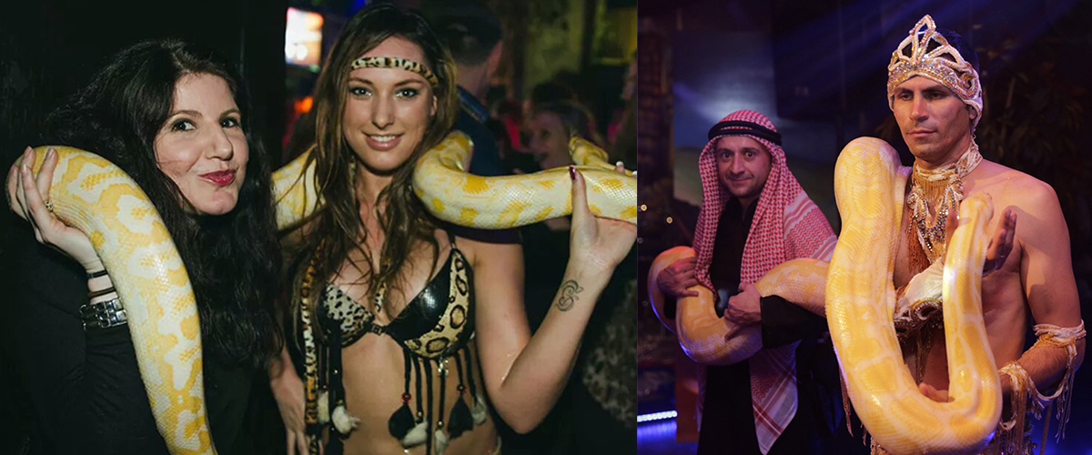Arabische Feest